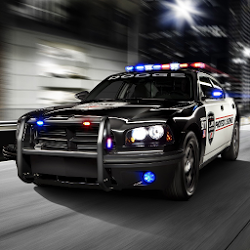 Fast Police Car Driving 3D