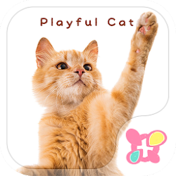 かわいい壁紙・アイコン-PLAY CAT-無料きせかえ