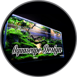 Aquascapeデザイン